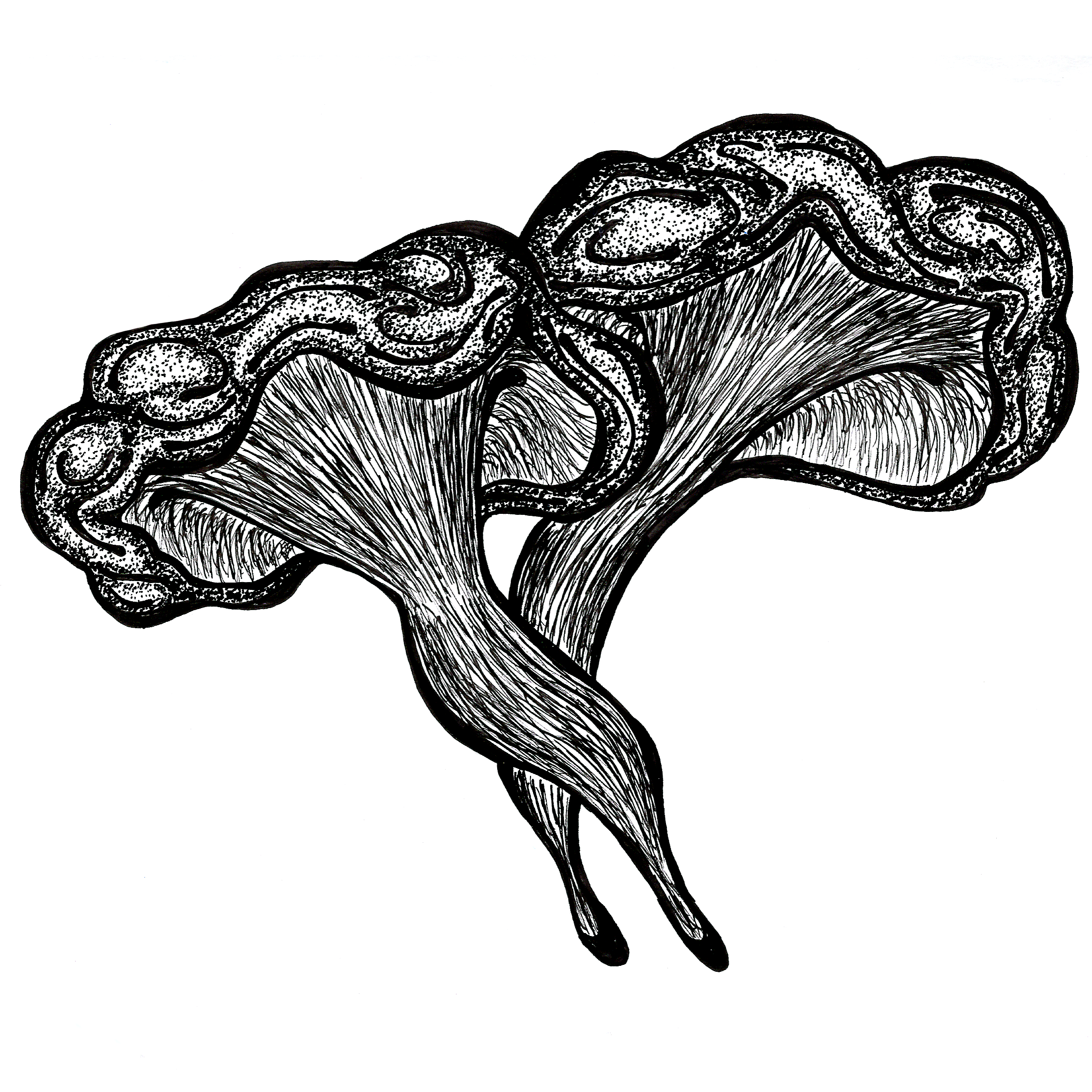 Hand-drawn illustration of two mushrooms in a black and white stick and poke style.